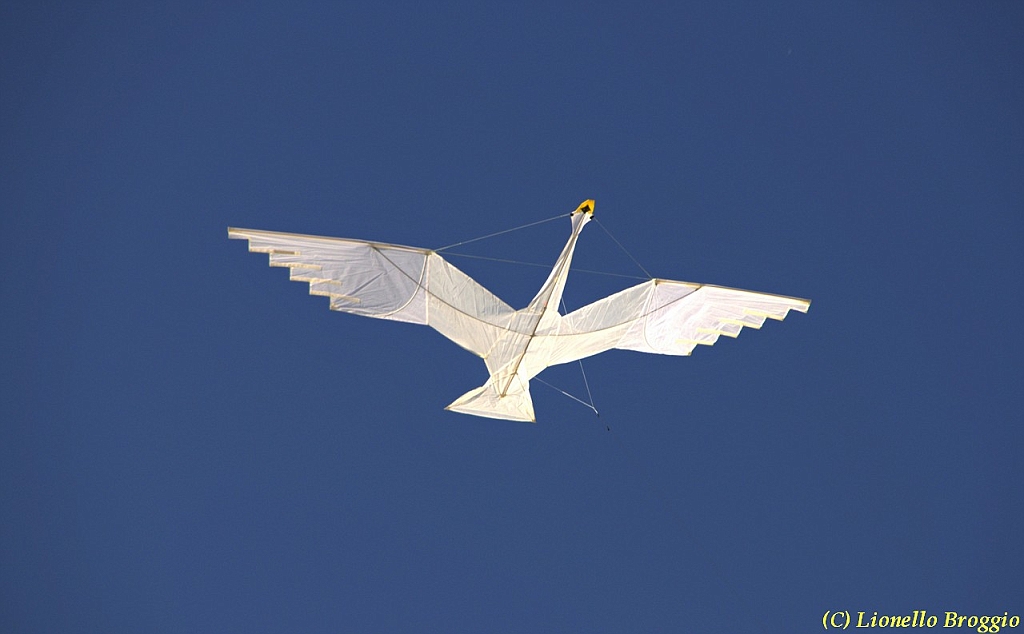 32 FESTIVAL CERVIA 2012 - 231.jpg